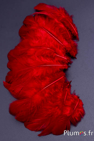Poule - 5-9 cm - carmin
